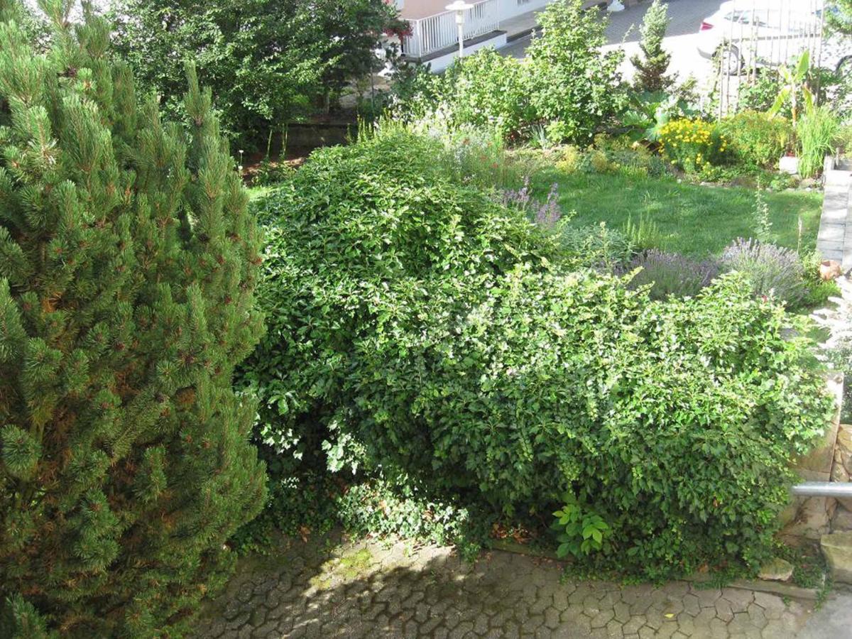Apartment Am Europakanal Fürth Екстериор снимка